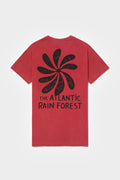 Camiseta Pipe Eccentric - Coral